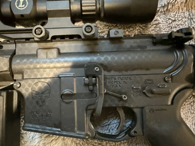 Custom AR15