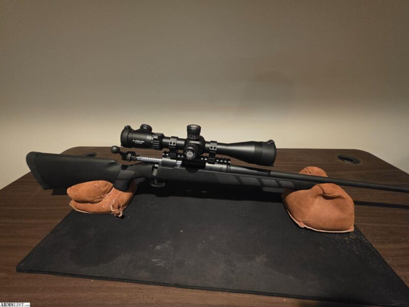 Savage Model 11 - 223