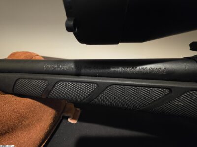 Savage Model 11 - 223