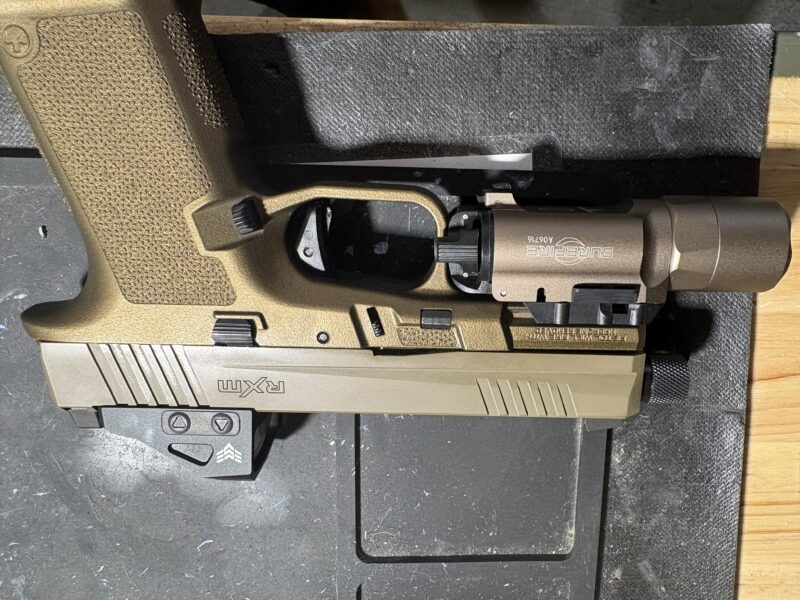 Ruger RXM