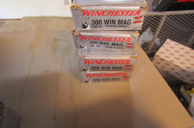 Various Ammo