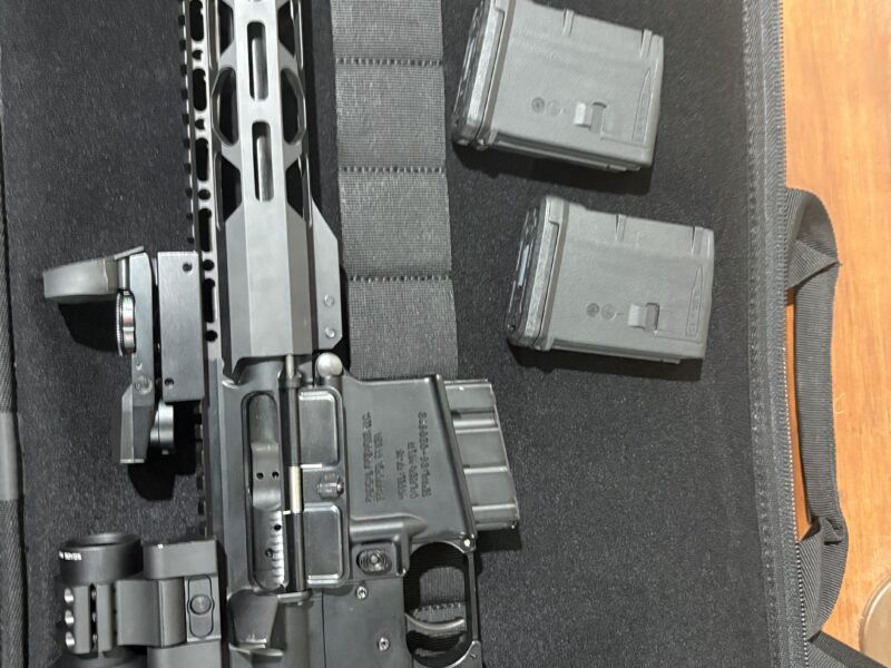 Ar15 with frt and magnifying red dot