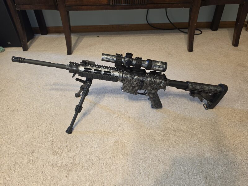 Rare "skulls' Stag Arms AR-15