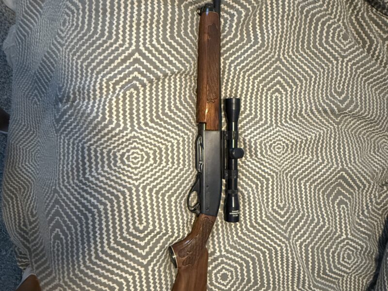 Remington Woodmaster model 742, .243 rifle model