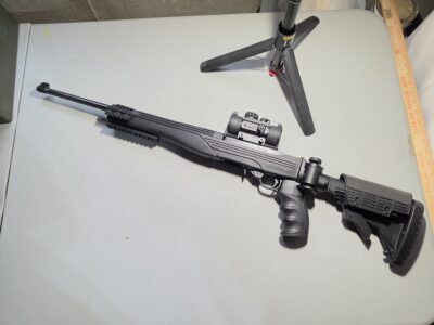 Ruger 10/22 - Tactical